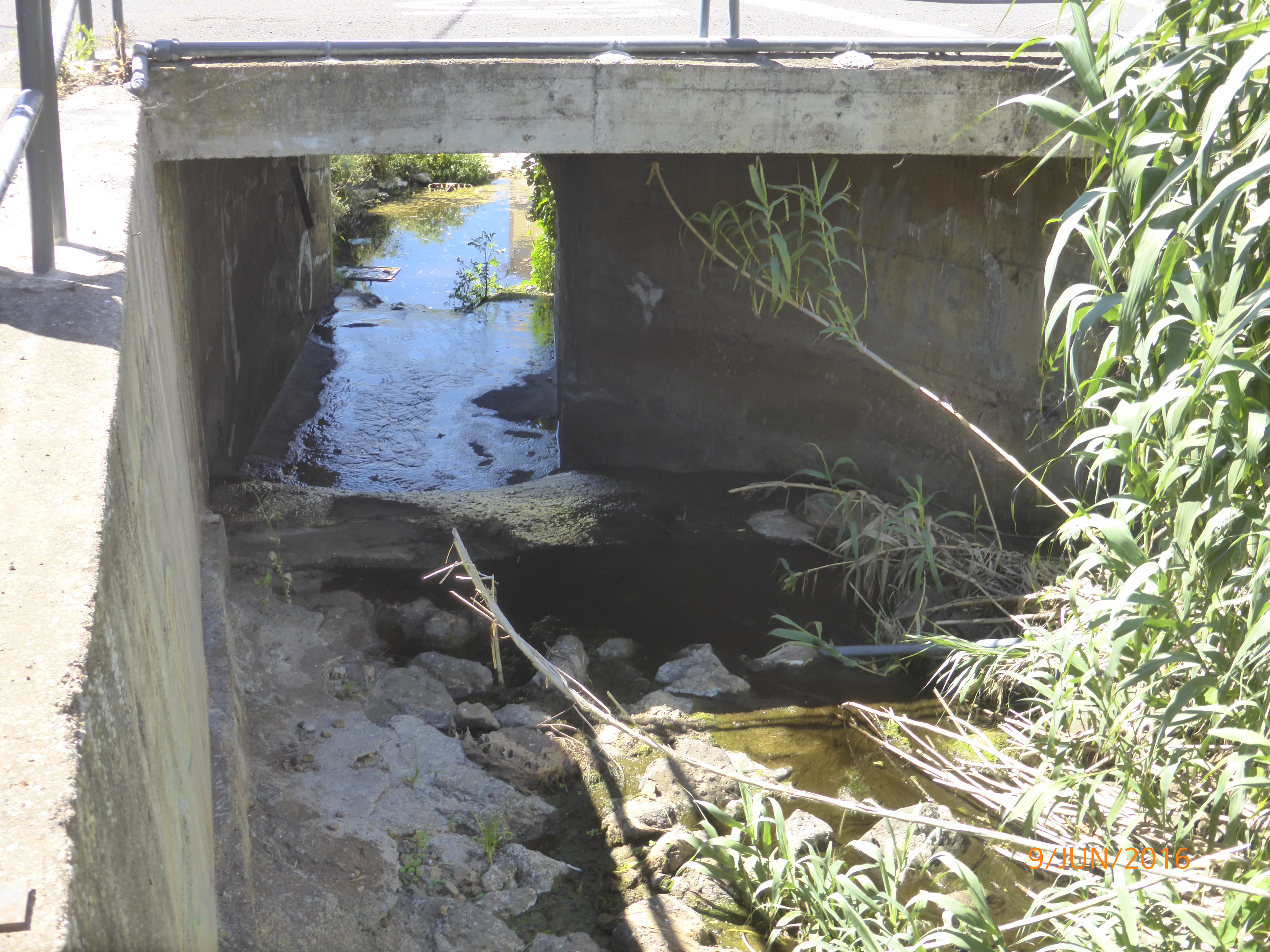 Redacción del proyecto “Actuaciones de saneamiento en diversos núcleos de La Laguna”